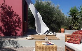 Red Cottage In The Olive Tree Fields